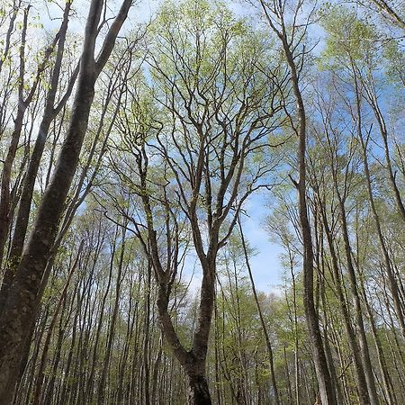 八幡平市安比小源妈妈旅馆住宿加早餐旅馆 外观 照片