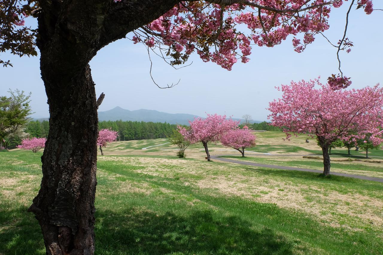 八幡平市安比小源妈妈旅馆住宿加早餐旅馆 外观 照片
